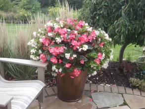 Custom planting in your pots or ours.