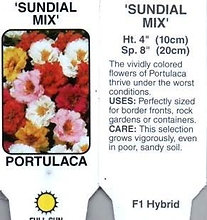 Portulaca, Mixed