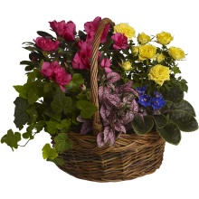 Blooming Garden Basket