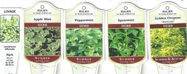 Herbs 4.5\" Pot