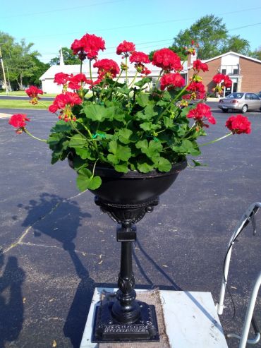 Custom planting in your pots or ours.