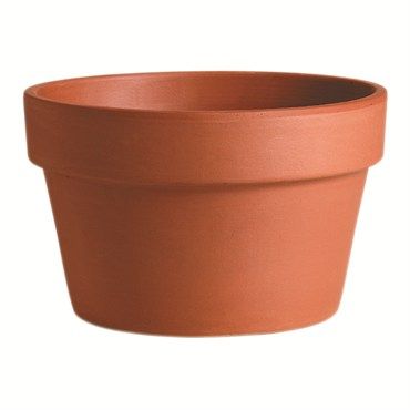 Clay Azalea Pots