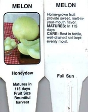 Melon