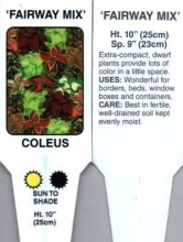 Coleus, Mixed