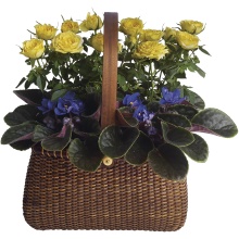 Garden To Go Basket