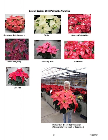 Poinsettia Order Form