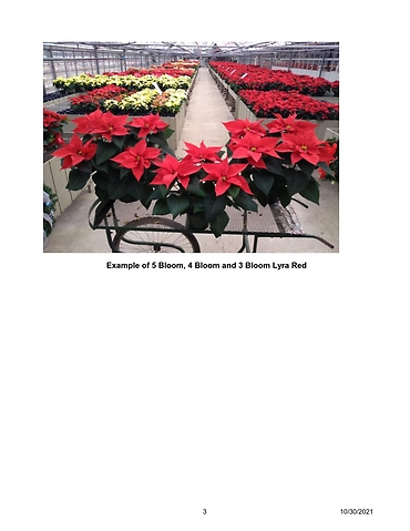 Poinsettia Order Form