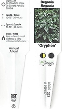 Begonia, Rex \'Gryphon\' 4.5\" pot