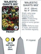 Pansy, Mixed