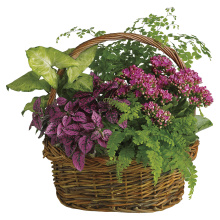 Secret Garden Basket