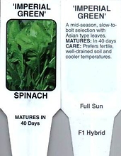 Spinach