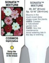 Cosmos, Mixed