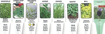 Herbs 4.5\" Pot