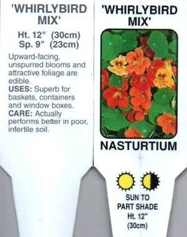 Nasturtium \'Whirly Bird Mix\' 4\" Pot